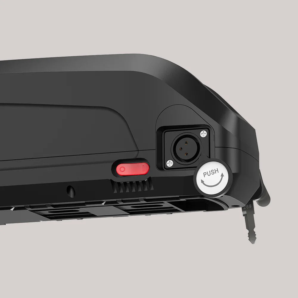 48V 18.0/19.2/20.0Ah Hailong G80 Max Down Tube Battery with Charger