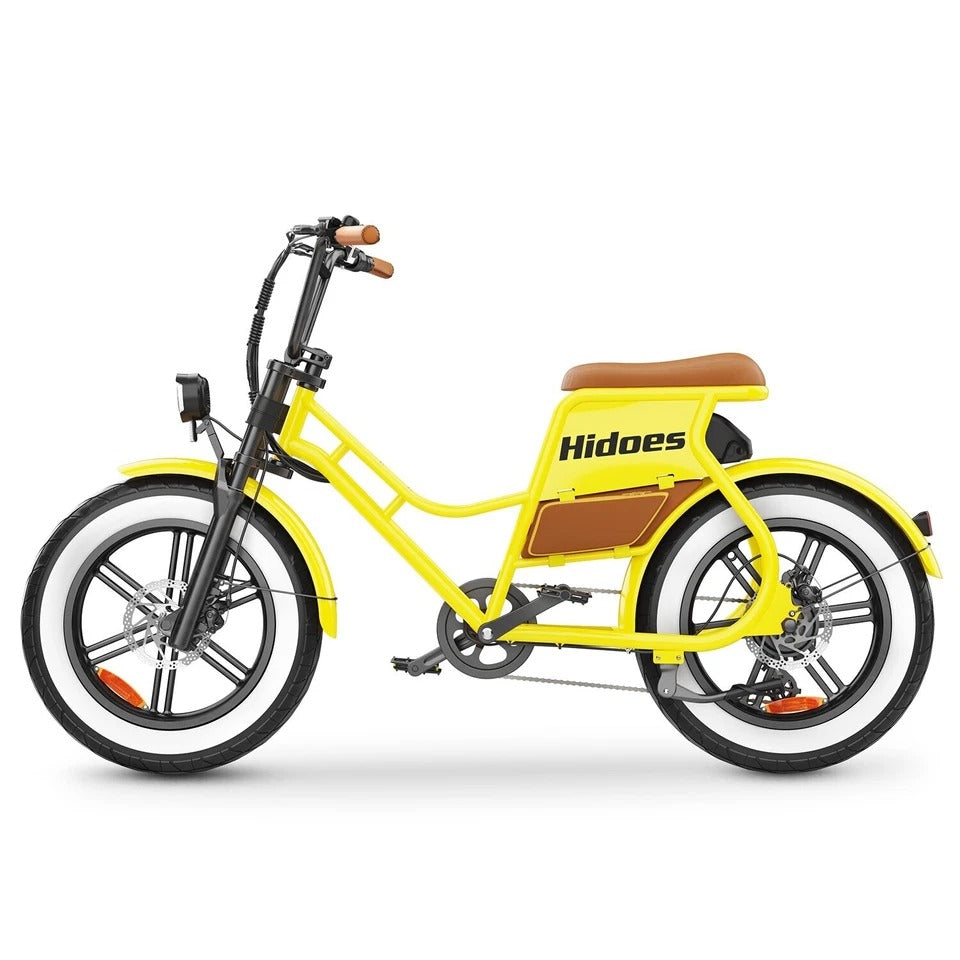Hidoes C8 Electric Bike, 700W Fat Tire eBike with 48V 17Ah Battery, 50 Miles