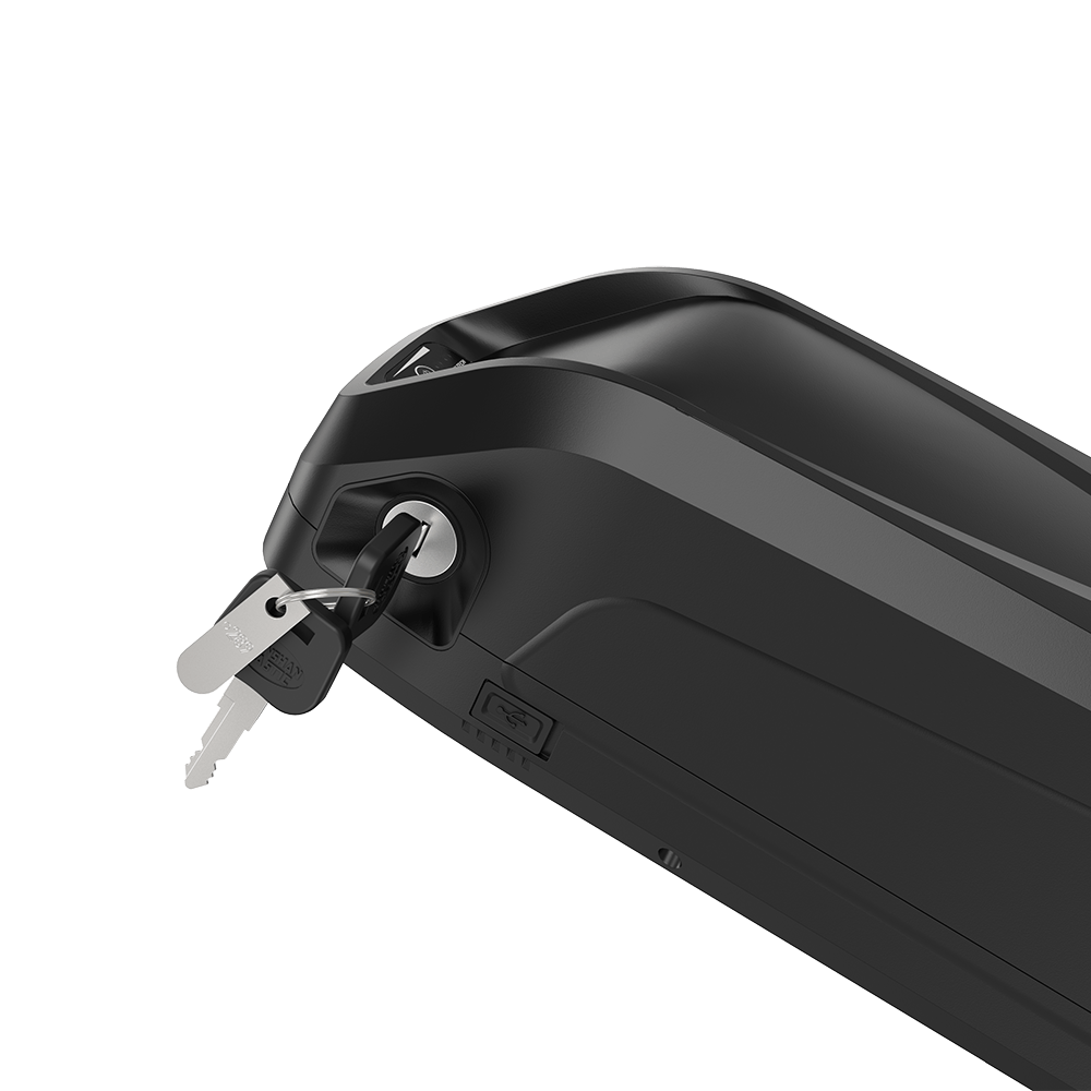 36V 10ah/24Ah  Battery with Charger/Keys