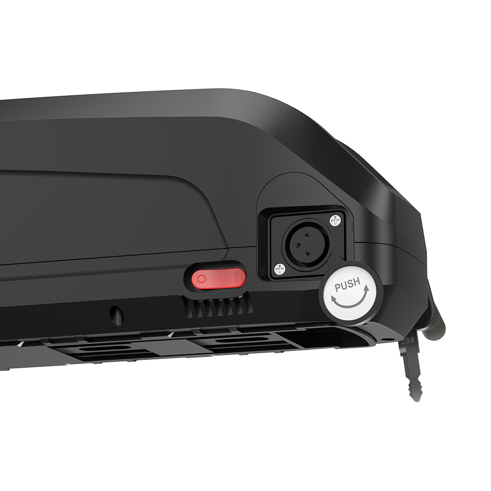 36V 10ah/24Ah  Battery with Charger/Keys