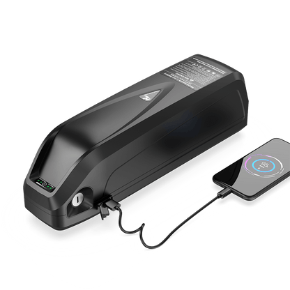 36V 10ah/24Ah  Battery with Charger/Keys